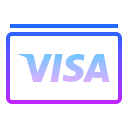 Checkout With Visa